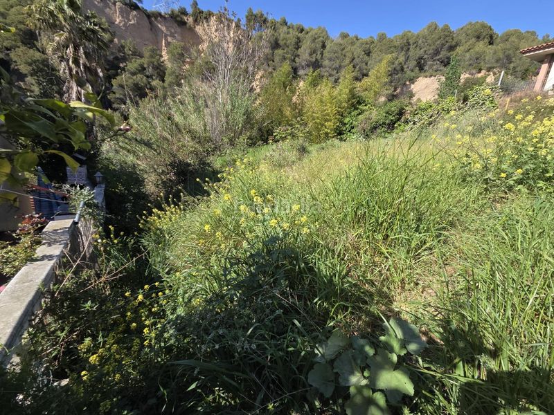 Foto 0345c5af-ea41-411d-96fa-f77cb2c023dc. Terreny residencial a Abrera