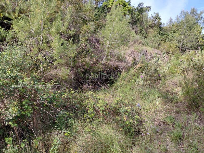 Foto 3b7e4e05-3a77-4ebd-a04a-fd6b28c99fa9. Terreny residencial a Mas romeu Calafell
