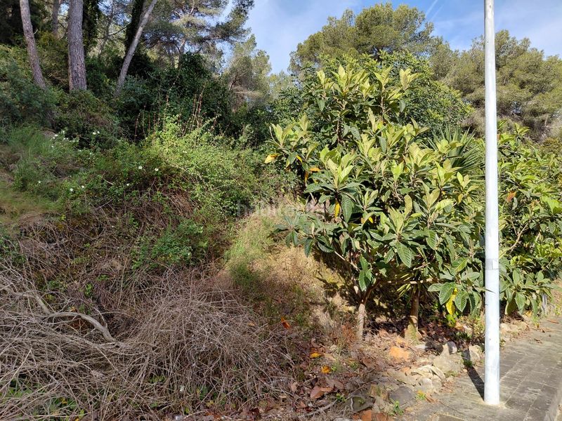 Foto c24e223e-2fe8-40c0-b31a-c5ec96bb7ed0. Terreny residencial a Mas romeu Calafell