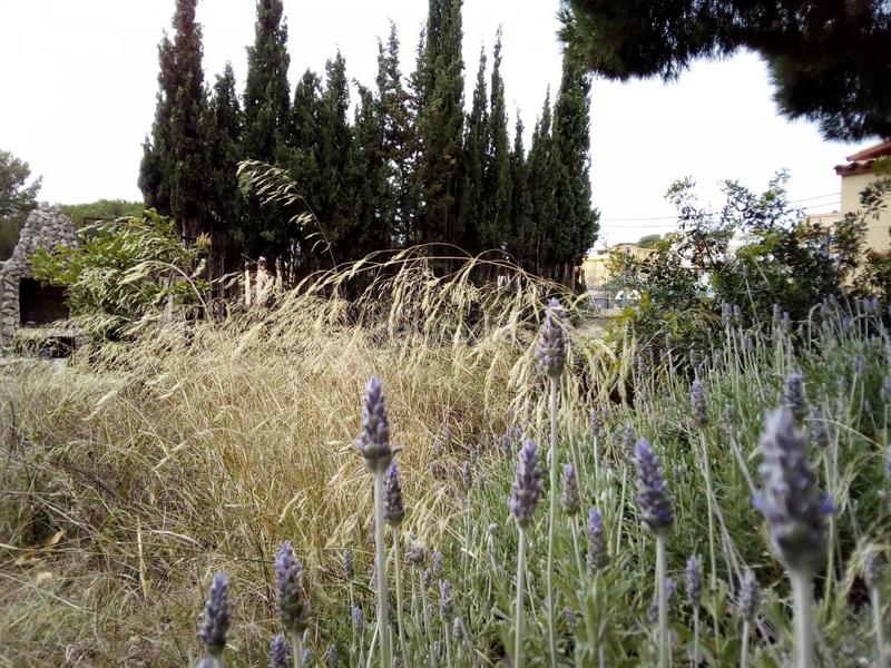 Foto 950df74d-f2ab-45bb-ba47-f1d1add8a654. Terreno residenziale in Segur de Calafell nucli urbà Segur de Calafell