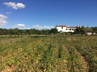 Mas�a en El Tancat-Mas d�en Gual. Masia del 1960 con 39000m2 de terreno agricola al lado del mar d