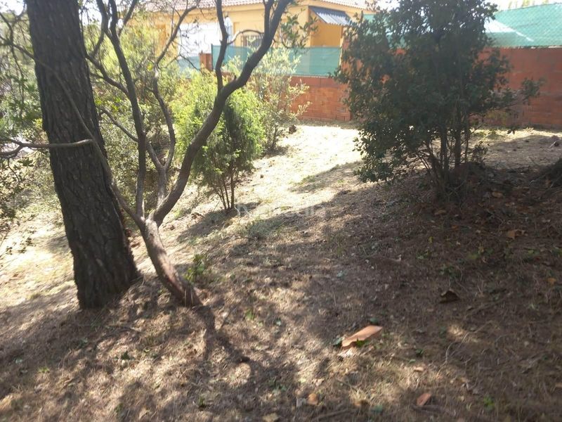 Foto d9001bde-af44-4350-8ed8-d1de6c7c54f4. Terreny residencial a Bruc (El)