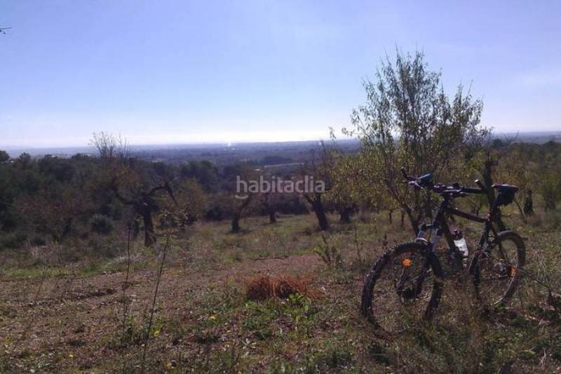 Foto 168976cc-d31e-4630-94a2-2fd1f9bdc246. Terreno residenziale in Riudecols