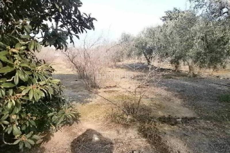 Foto 3c4ee89b-8942-4bfd-9c7b-03f162a9b42f. Terreno residenziale in Riudecols