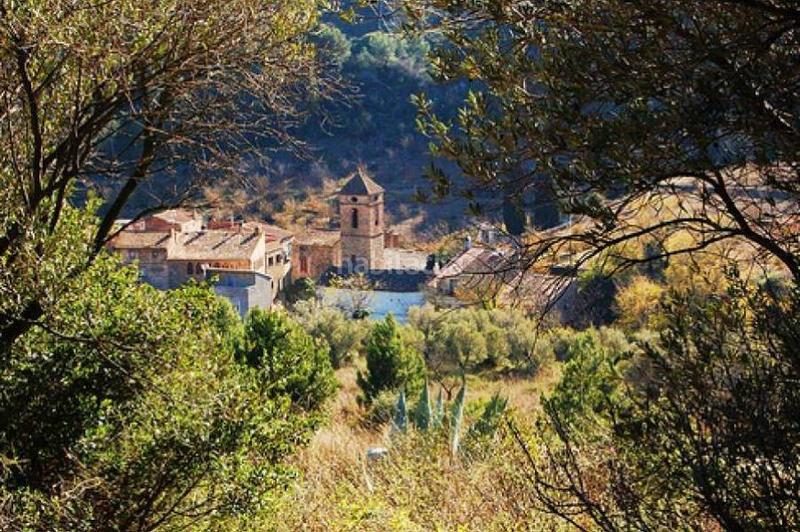 Foto 531a6d36-12f5-46fb-90c7-0abc176a6591. Terreno residenziale in Riudecols