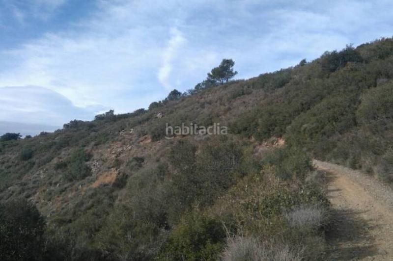 Foto 5c070d81-5956-4122-b3d9-17c05a5391f3. Terreno residenziale in Riudecols