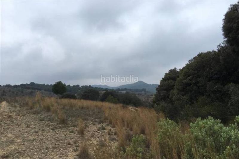 Foto 69fed4fd-62dd-47e0-a0b9-0d56648e11f8. Terreno residenziale in Riudecols