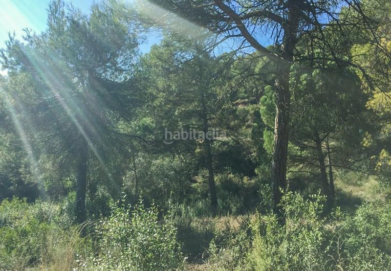 Foto 1c60c1cf-99d0-4bb8-afbc-ebb365b3506c. Wohngrundstück in Rellinars