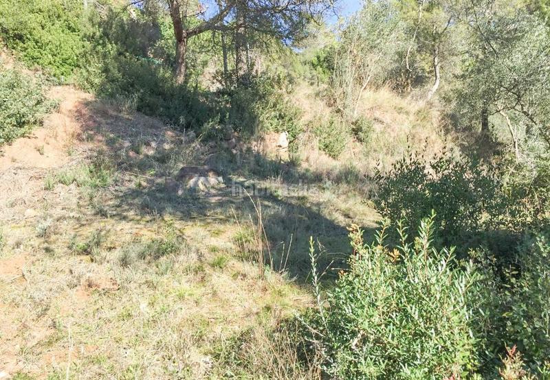 Foto 48828f1d-d7eb-4047-8cb6-073f5d9f2649. Wohngrundstück in Rellinars