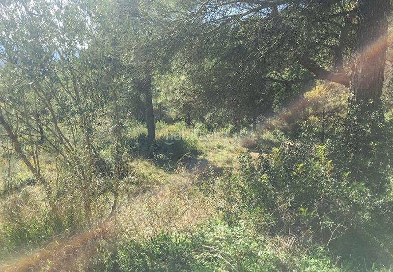 Foto 56d767ec-6637-4b18-b361-62043501add3. Wohngrundstück in Rellinars