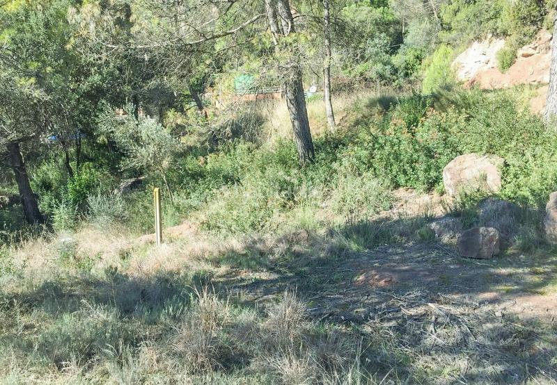 Foto 68e6affb-25d0-4123-aa9a-d51f7735ddf0. Wohngrundstück in Rellinars