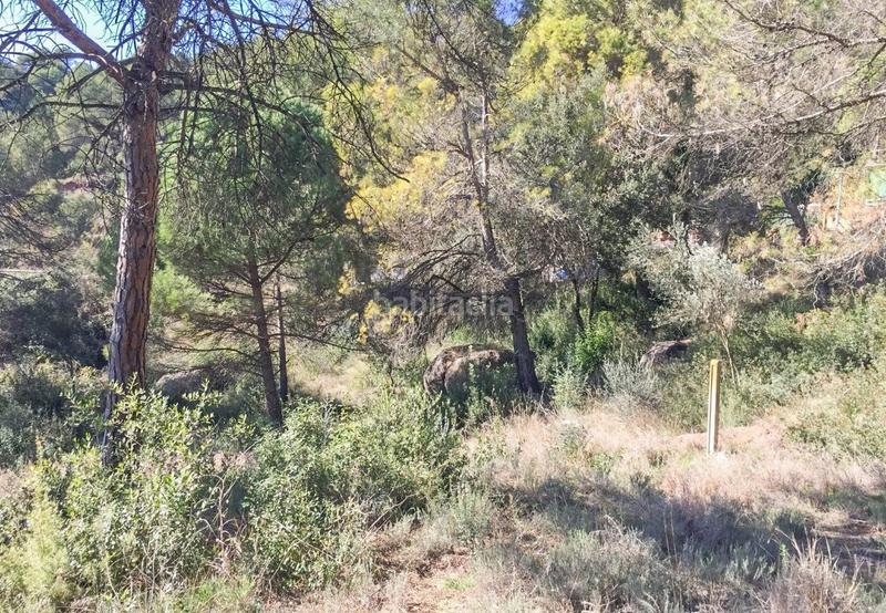 Foto de17bc83-0c29-4b80-8f63-8f7a5289cad7. Wohngrundstück in Rellinars