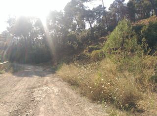 Terreno residencial en Corbera de Llobregat. Espectacular terreno que da a dos calles, en corbera de llobrega