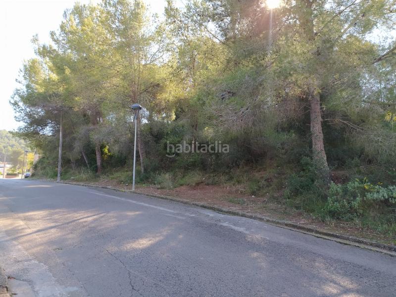 Foto 2168a4e5-7554-4401-8e5f-27ea3d6e4f68. Terreny residencial a Mas romeu Calafell