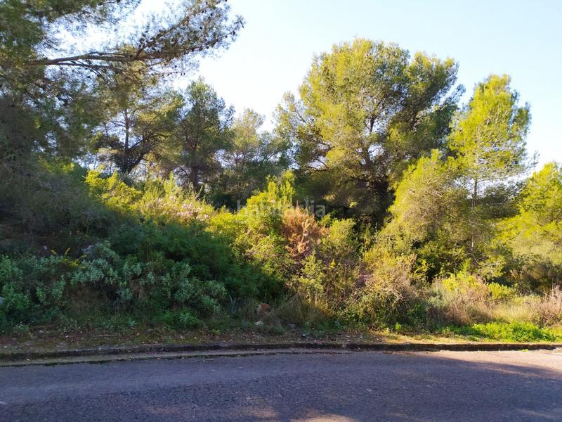 Foto fd478db2-6093-4d70-a185-a668afd9a738. Terreny residencial a Mas romeu Calafell