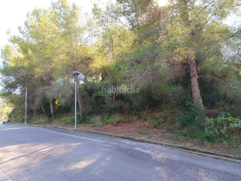 Foto ff3ab334-9e84-44f0-afed-8a535d84d524. Terreny residencial a Mas romeu Calafell