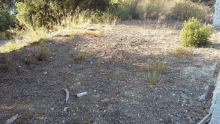 Terreno residencial en Collbató. Parcela en collbato con preciosas vistas a montserrat a 30' de b