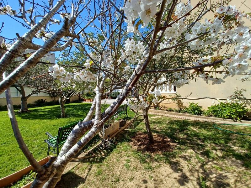 Foto 6f9e0070-7721-486f-b90d-4375f5619ece. Erdgeschoss mit heizung parking pool in Cunidor Cunit