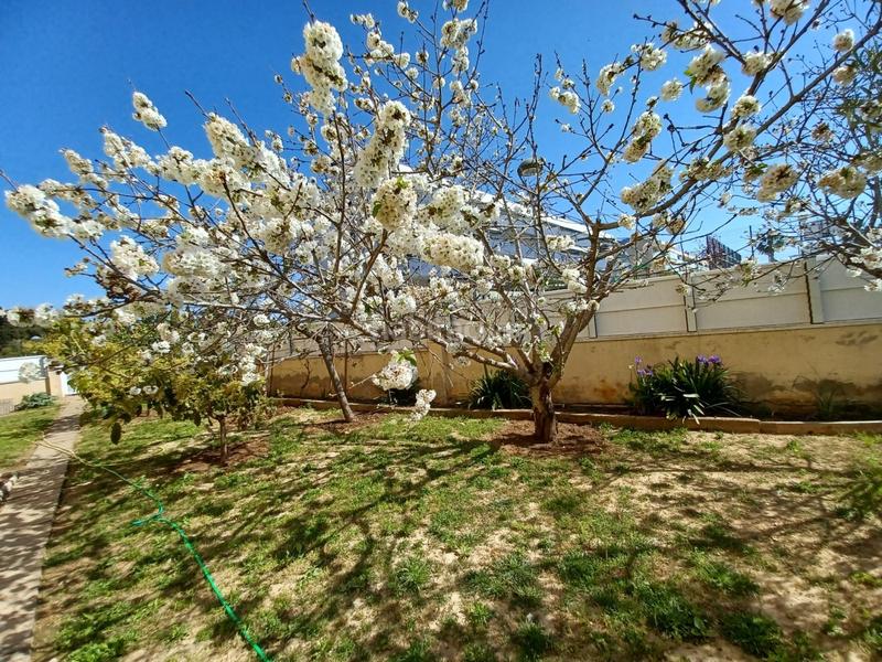 Foto d99c9283-fe38-40e4-96f3-420215fc8d14. Erdgeschoss mit heizung parking pool in Cunidor Cunit