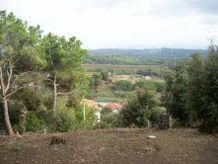Terrain résidentiel à Piera. Terreno en vallbonica 539 mtro2 a 45 de barcelona