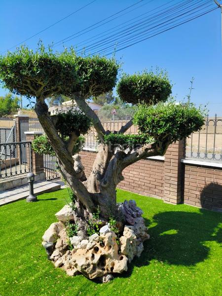 Foto 18657ebd-0e9b-462e-8a24-eb8b942282eb. Chalet con parcheggio in Abrera