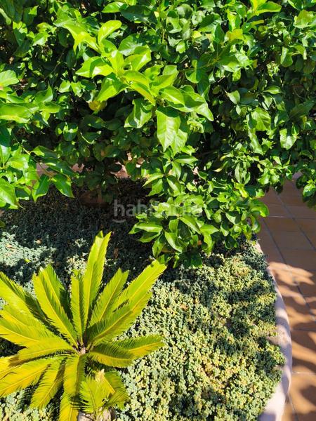 Foto 61ceb724-2b87-4da1-a332-82a1e644be4e. Chalet con parcheggio in Abrera