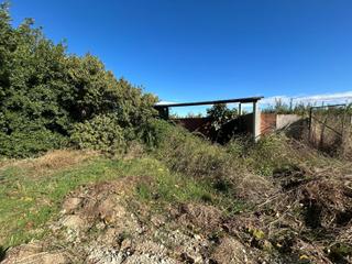 Fondo rustico  12. Finca rústica amb casa a reformar  bellpuig lleida