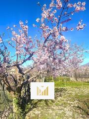 Masia a Dalías. Terreno con cortijo