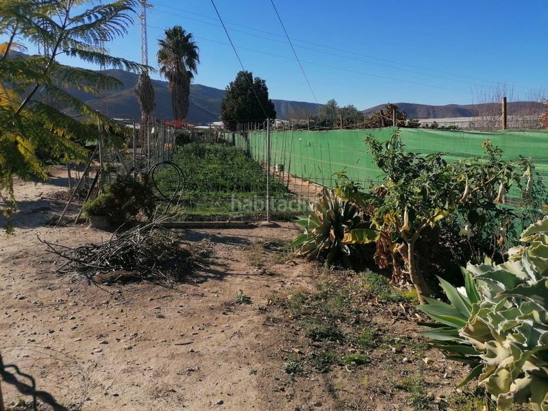 Foto c57dce11-fcf3-434a-bf98-b21c4797b912. Masía cortijo con terreno en Dalías
