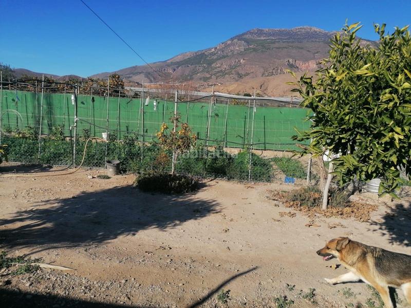 Foto de5e76a9-94e2-4cdf-8502-9a88701d29b5. Masía cortijo con terreno en Dalías