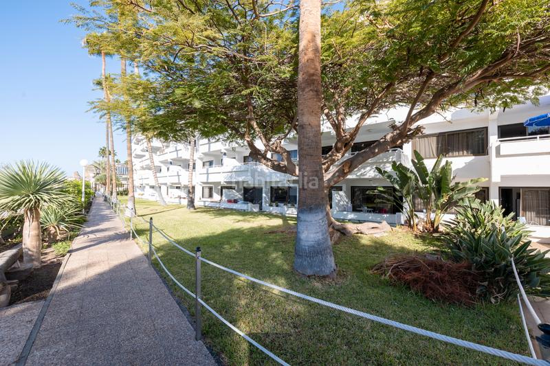 Foto 3f3793e0-7d68-4335-9413-a876d98514ef. Appartement dans calle juan díaz rodríguez 29 dans Puerto Rico Mogán