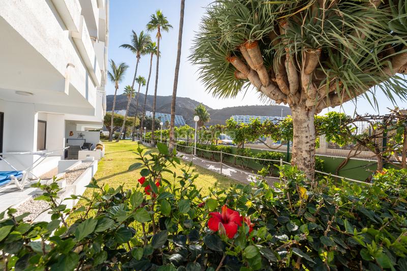 Foto 3f3ebdf1-3e90-4447-9cf8-d23e65ce7b9b. Appartement dans calle juan díaz rodríguez 29 dans Puerto Rico Mogán