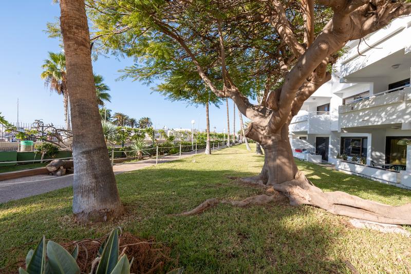 Foto 5ac30b44-44d3-499f-b62a-403f37a6f23d. Appartement dans calle juan díaz rodríguez 29 dans Puerto Rico Mogán