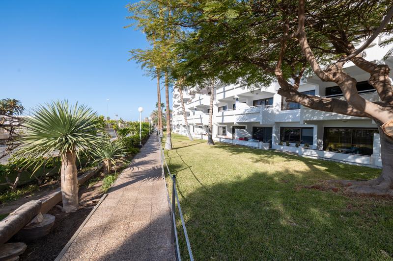 Foto 6ab16635-e700-41e4-b838-6283ad9fc488. Appartement dans calle juan díaz rodríguez 29 dans Puerto Rico Mogán