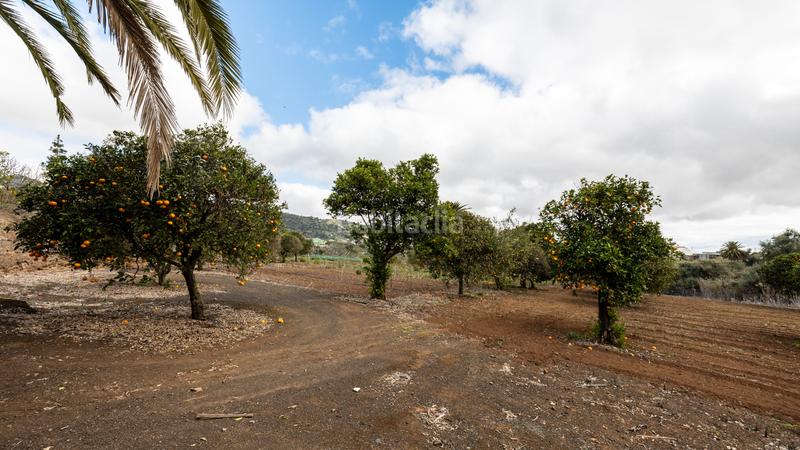 Foto 4af34026-c0c7-4570-9717-689dce77844e. Chalet in carretera hoya bravo 90 in Portada Verde - Lomo Espino - Guanche Santa Brígida