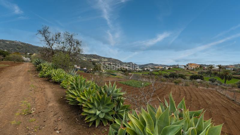 Foto a9741c57-7c34-4e45-ae62-2fe293ec3321. Chalet in carretera hoya bravo 90 in Portada Verde - Lomo Espino - Guanche Santa Brígida