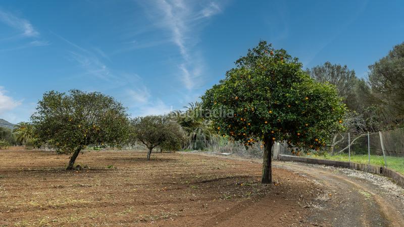 Foto 0175c811-4926-4a64-8a97-103fae54bd2d. Xalet a carretera hoya bravo 90 a Portada Verde - Lomo Espino - Guanche Santa Brígida