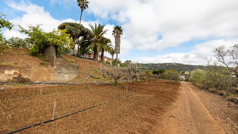 Foto 0506a6e6-f1d9-4512-95d1-dccf28d58e02. Xalet a carretera hoya bravo 90 a Portada Verde - Lomo Espino - Guanche Santa Brígida