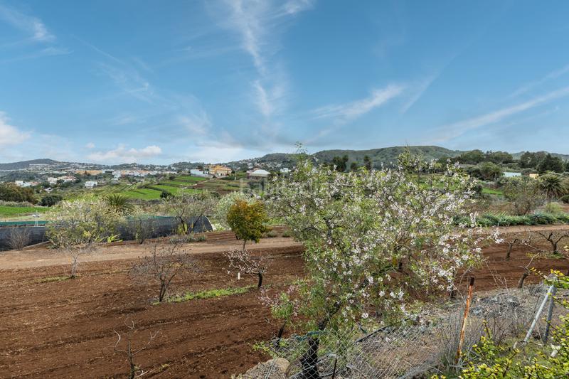 Foto ea257937-15ee-4d66-b52e-93cb426f2e76. Xalet a carretera hoya bravo 90 a Portada Verde - Lomo Espino - Guanche Santa Brígida