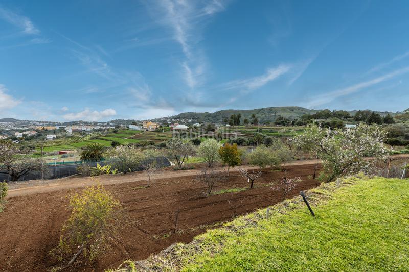 Foto fc484eb8-cb30-40b2-bd69-a181adf925e6. Xalet a carretera hoya bravo 90 a Portada Verde - Lomo Espino - Guanche Santa Brígida