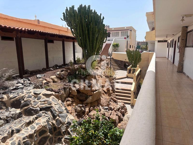 Foto f925e69a-18a7-4689-bbf0-927a3f7b00e3. Pis amb piscina a Callao Salvaje - Playa Paraíso Adeje