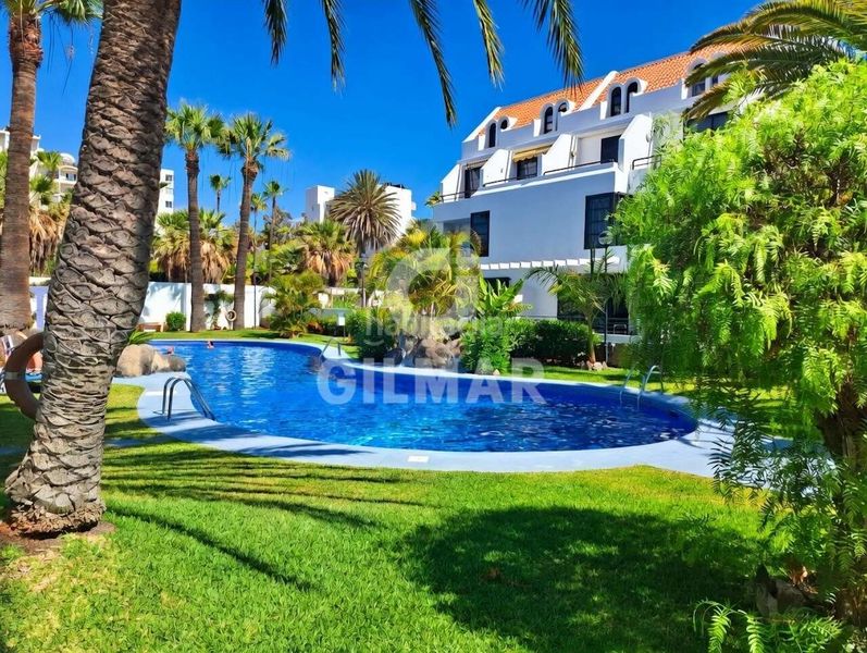 Foto e5593573-65a5-4019-a074-b10fec2707a7. Apartament a Playa de las Américas Arona