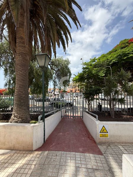 Foto 9fd85df7-f191-4e7e-ab6e-d7fe7363fc98. Dúplex amb piscina a Costa del Silencio Arona