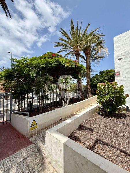 Foto c031b3bc-9eb6-4252-b6e6-99dea92c5da6. Dúplex amb piscina a Costa del Silencio Arona