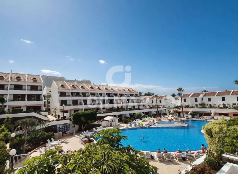 Foto 482862b8-762c-426d-ad8b-a357503fd80f. Pis a avenida rafael puig lluvina 34 a Playa de las Américas Arona