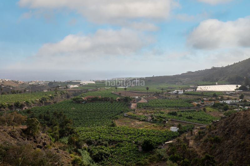 Foto d6461e15-8d7c-467b-930e-861811a95846. Piso en La Montañeta - La Goleta - El Cerrillo Arucas