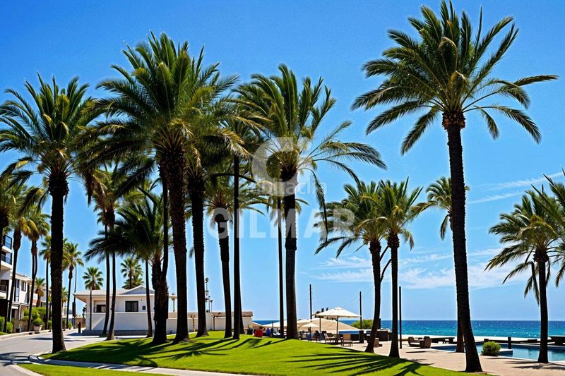 Foto 51f57732-5756-40c4-8648-d019d12bf0b8. Apartament a Playa de las Américas Adeje