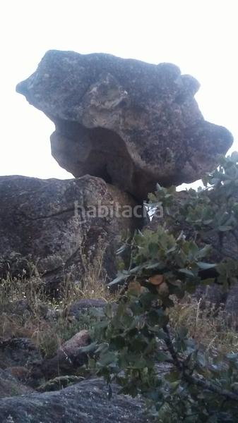 Foto 3ebda66f-32f1-48cf-ba3c-b404dce0281c. Landgut in Navas del Madroño