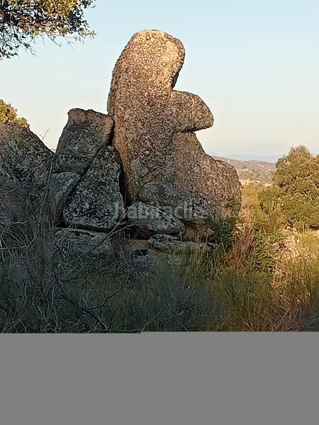 Foto 4e8ccca0-8ff4-409f-bcba-c75f80c44e54. Landgut in Navas del Madroño