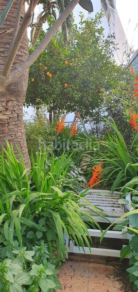 Foto 1a07df25-baf6-46d1-8b97-523b1e5e3d74. Piso en Centro Cáceres